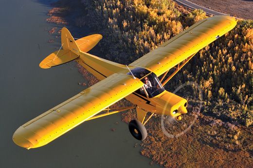 Piper PA-18 Super Cub Art, Aviation Gifts